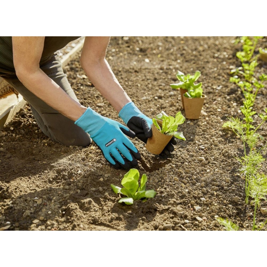Gardena – Arbeitshandschuhe blau/schwarz