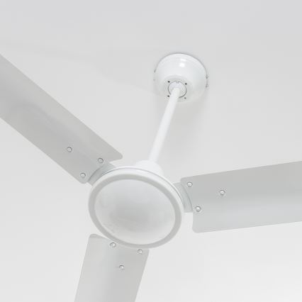 GLOBO - Deckenventilator FERRO