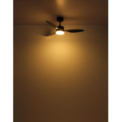 Globo - Dimmbarer LED-Deckenventilator LED/20W/230V 2700-6500K + Fernbedienung