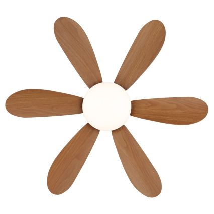 Globo - LED dimmbarer Deckenventilator LED/5W/230V 2700-6500K braun + Fernbedienung