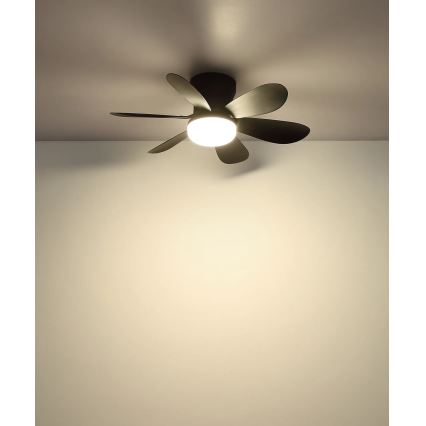 Globo - LED-dimmbarer Deckenventilator LED/5W/230V 2700-6500K schwarz + Fernbedienung