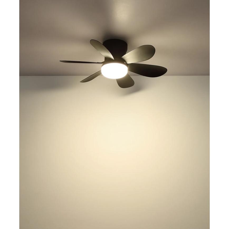 Globo - LED-dimmbarer Deckenventilator LED/5W/230V 2700-6500K schwarz + Fernbedienung