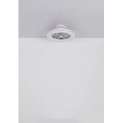 Globo - Dimmbarer LED-Deckenventilator LED/40W/230V 3000-6500K + Fernbedienung
