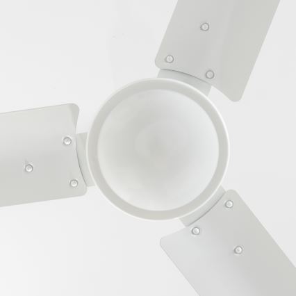 Globo 03806 - Deckenventilator FERRO