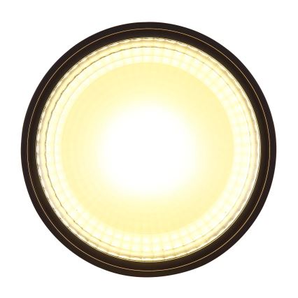 Globo - LED-Deckenleuchte LED/12W/230V 3000K