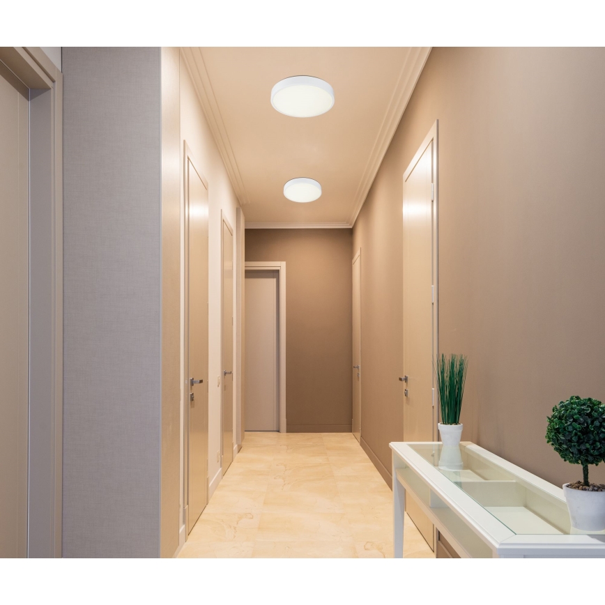 Globo 12364-30 - LED Dimmbare Badezimmer Deckenleuchte ARCHIMEDES LED/28W/230V IP44