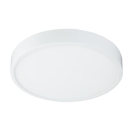 Globo 12364-30 - LED Dimmbare Badezimmer Deckenleuchte ARCHIMEDES LED/28W/230V IP44