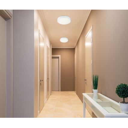 Globo - LED dimmbare Deckenleuchte LED/28W/230V