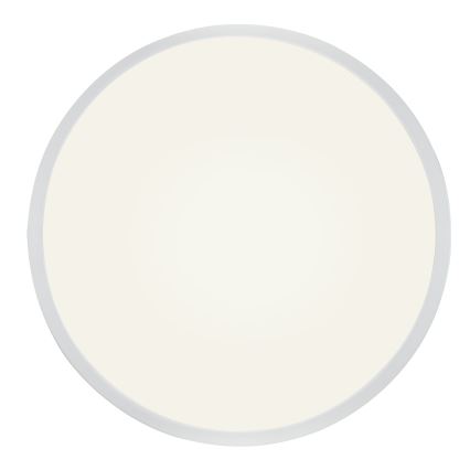 Globo - LED dimmbare Deckenleuchte LED/28W/230V