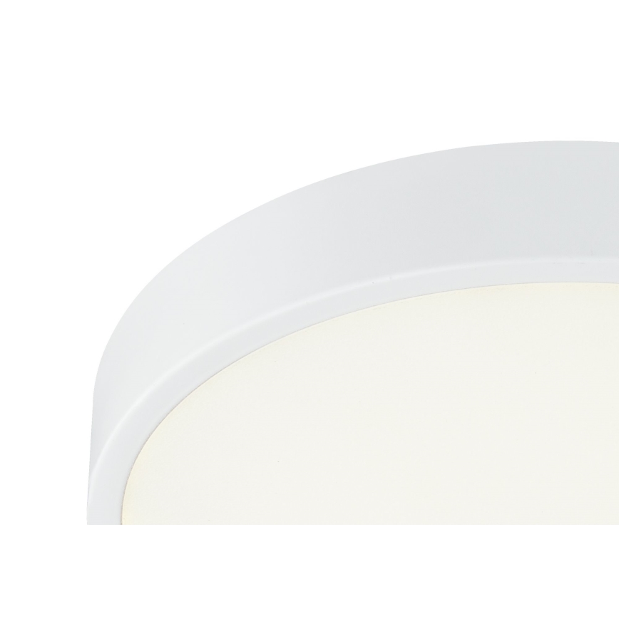 Globo - LED dimmbare Deckenleuchte LED/28W/230V