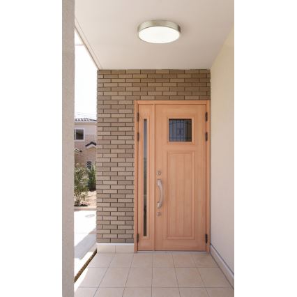 Globo - Dimmbare LED-Deckenleuchte LED/22W/230V