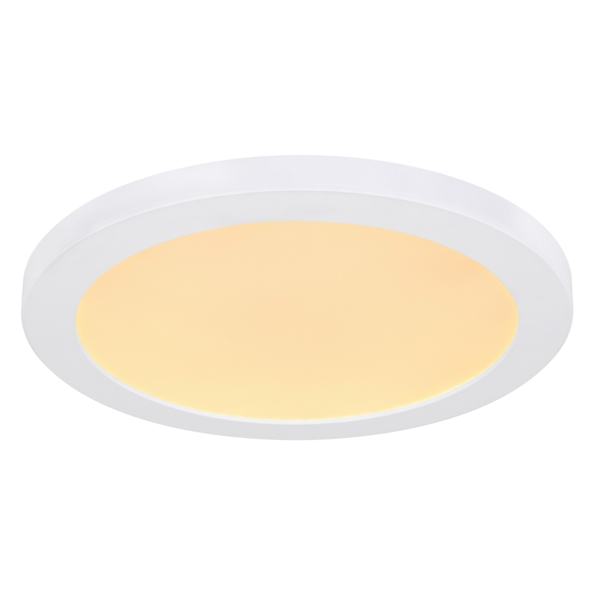 Globo - LED-Deckenleuchte LED/24W/230V 3000/4000/6500K weiß