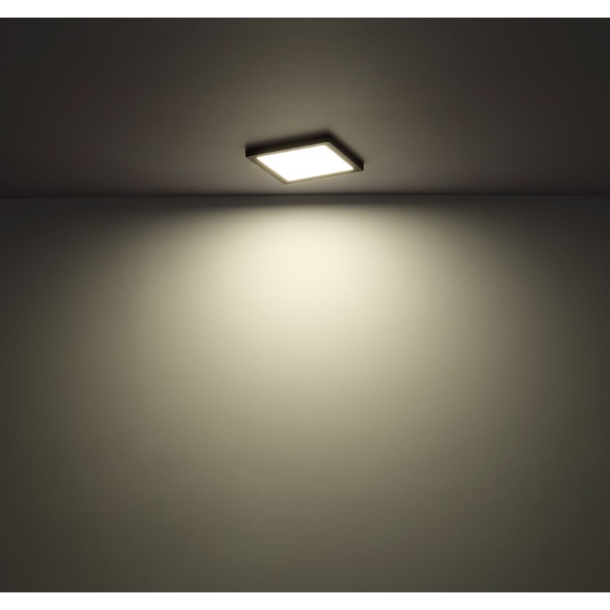 Globo - LED-Deckenleuchte LED/12W/230V 3000/4000/6500K weiß