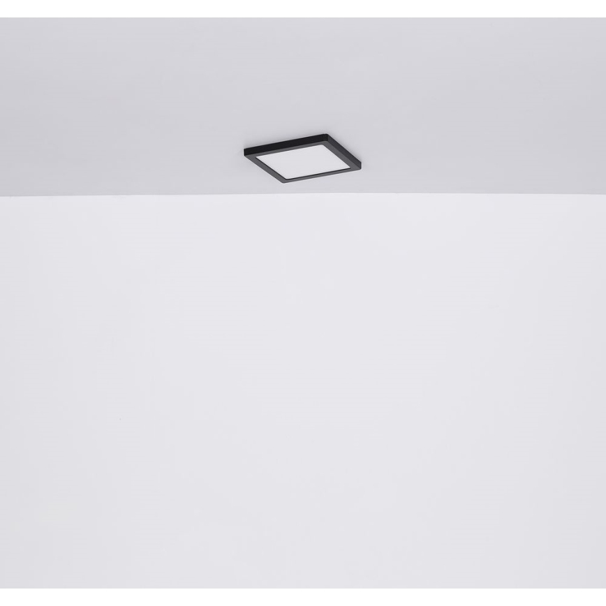 Globo - LED-Deckenleuchte LED/24W/230V 3000/4000/6500K schwarz