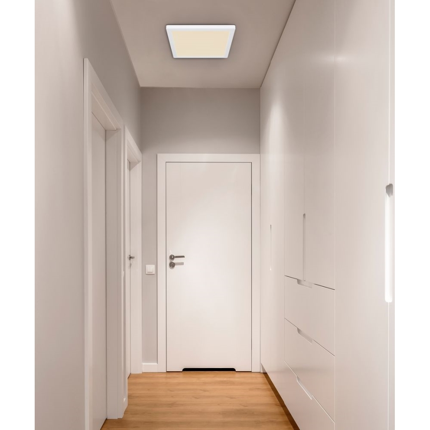 Globo - LED-Deckenleuchte /24W/230V 3000/4000/6500K weiß