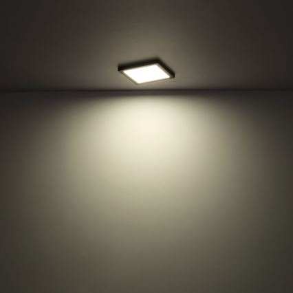 Globo - LED-Deckenleuchte /24W/230V 3000/4000/6500K weiß