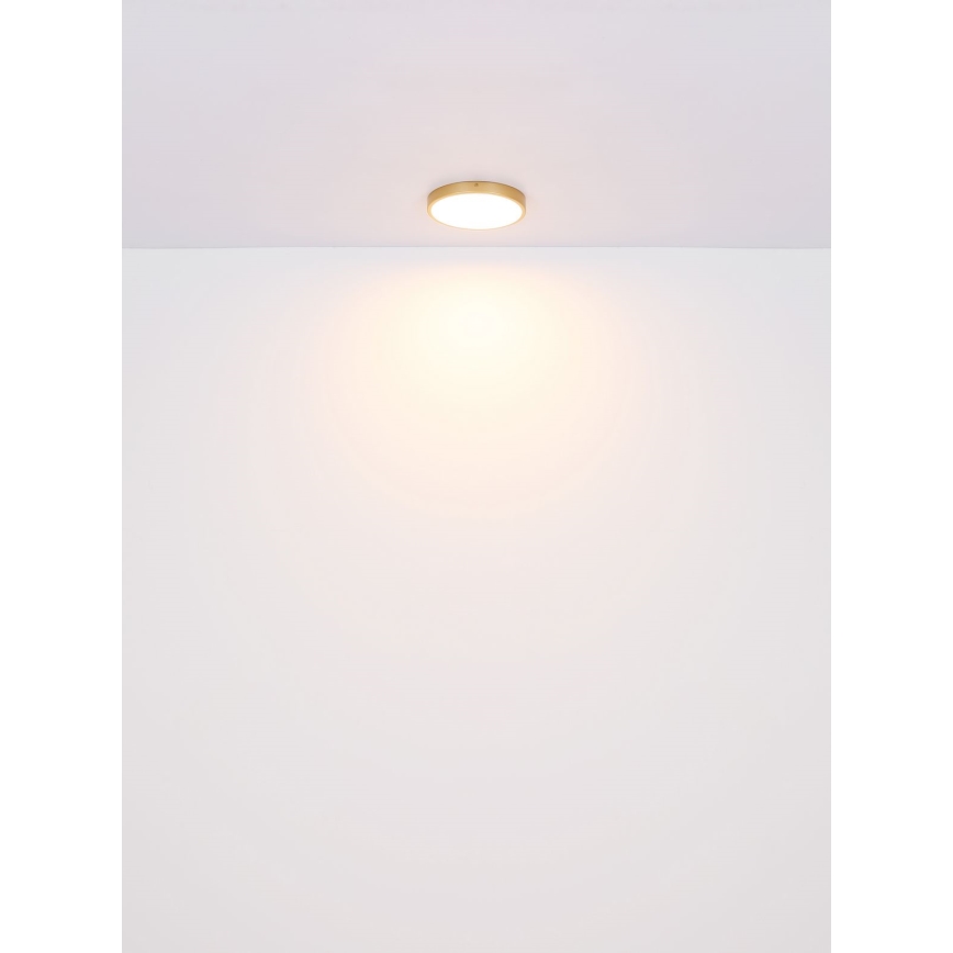 Globo - LED-Deckenleuchte LED/22W/230V d 35 cm