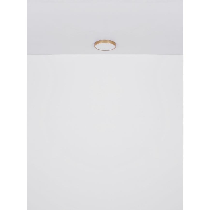 Globo - LED-Deckenleuchte LED/22W/230V d 35 cm