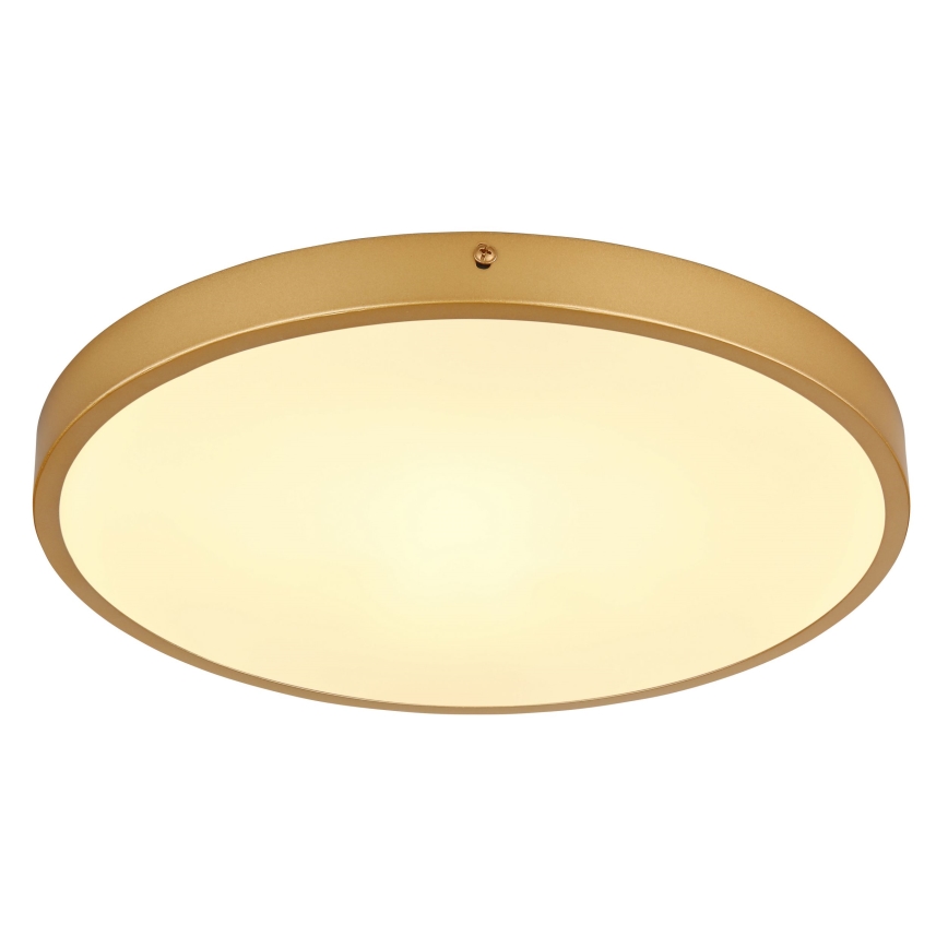 Globo - LED-Deckenleuchte LED/22W/230V d 35 cm