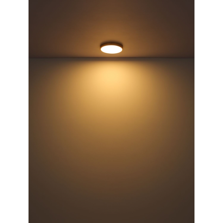 Globo - LED-Deckenleuchte LED/30W/230V d 45 cm