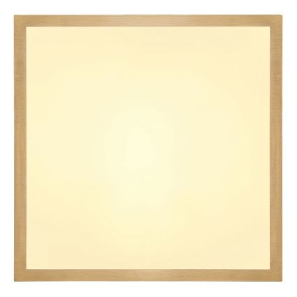 Globo - LED-Deckenleuchte LED/15W/230V 25x25 cm