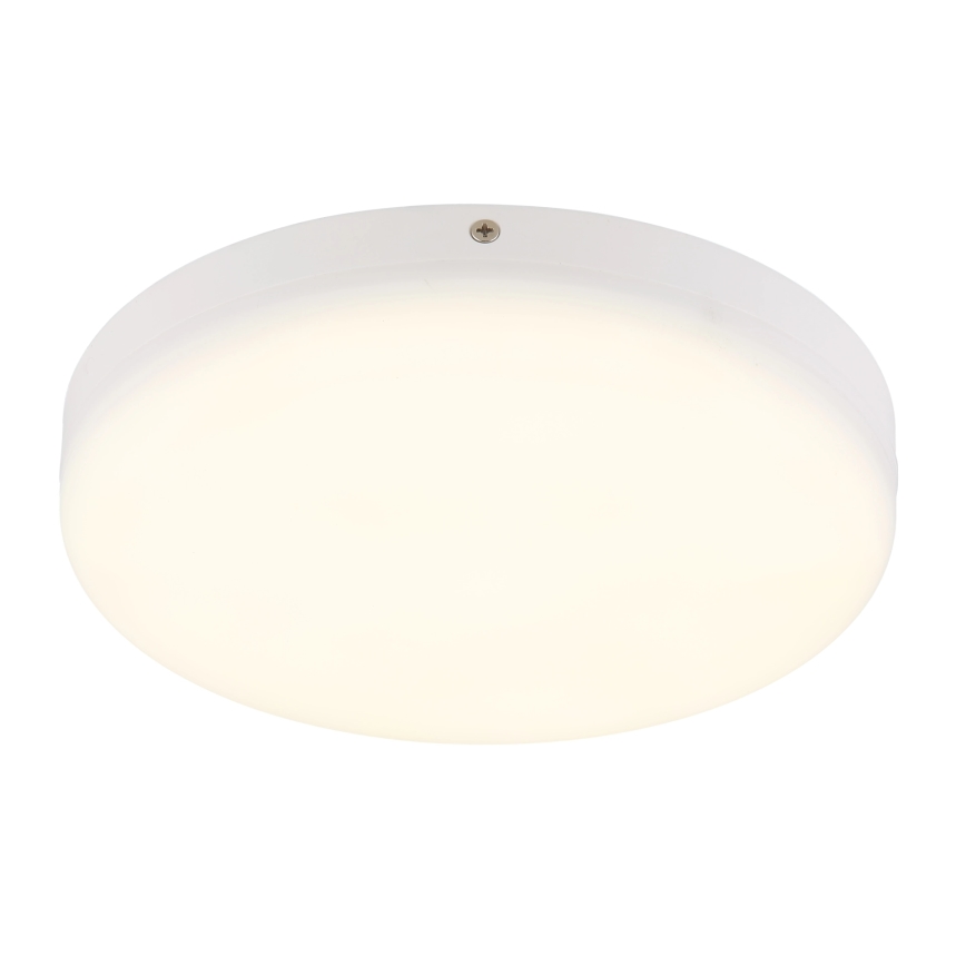 Globo - LED-Deckenleuchte LED/12W/230V 4000K d 22 cm weiß