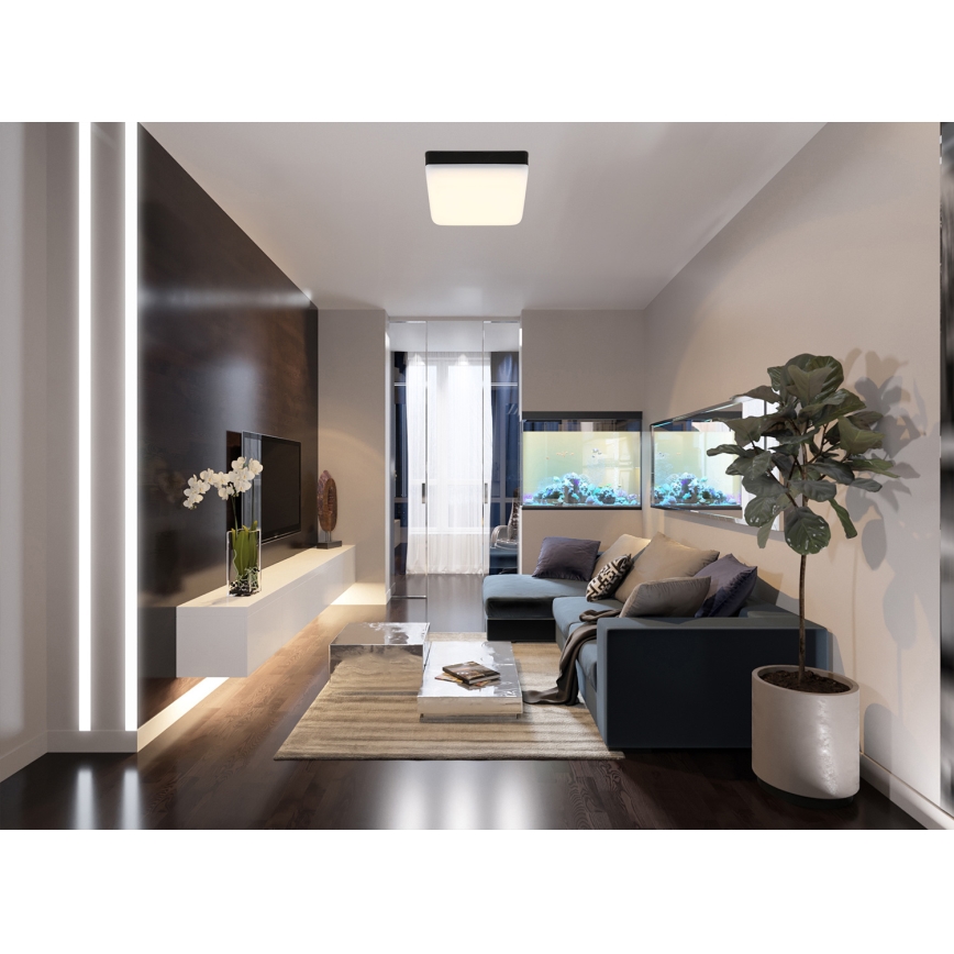 Globo - LED-Deckenleuchte LED/8W/230V 4000K 12x12 cm schwarz
