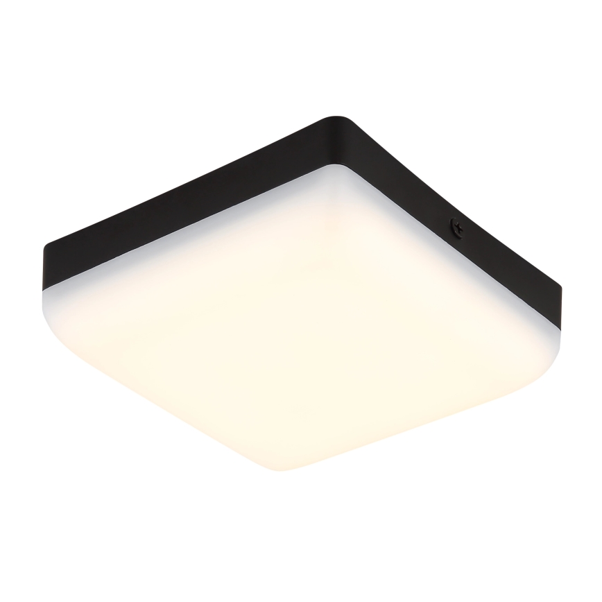 Globo - LED-Deckenleuchte LED/8W/230V 4000K 12x12 cm schwarz