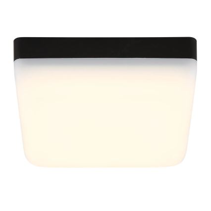 Globo - LED-Deckenleuchte LED/8W/230V 4000K 12x12 cm schwarz