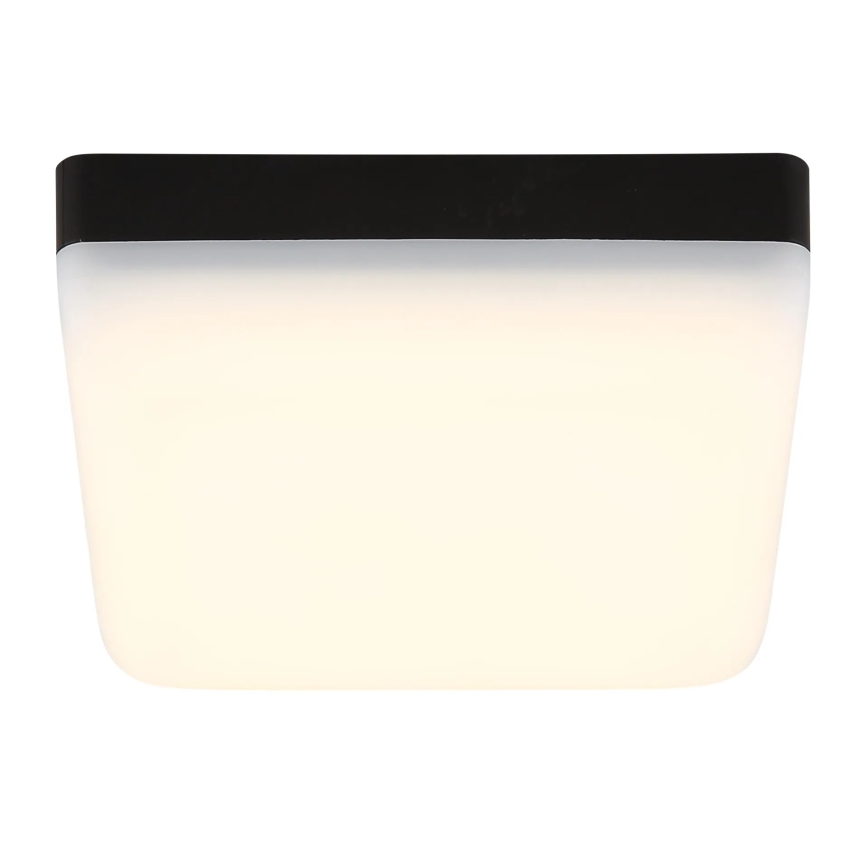 Globo - LED-Deckenleuchte LED/8W/230V 4000K 12x12 cm schwarz