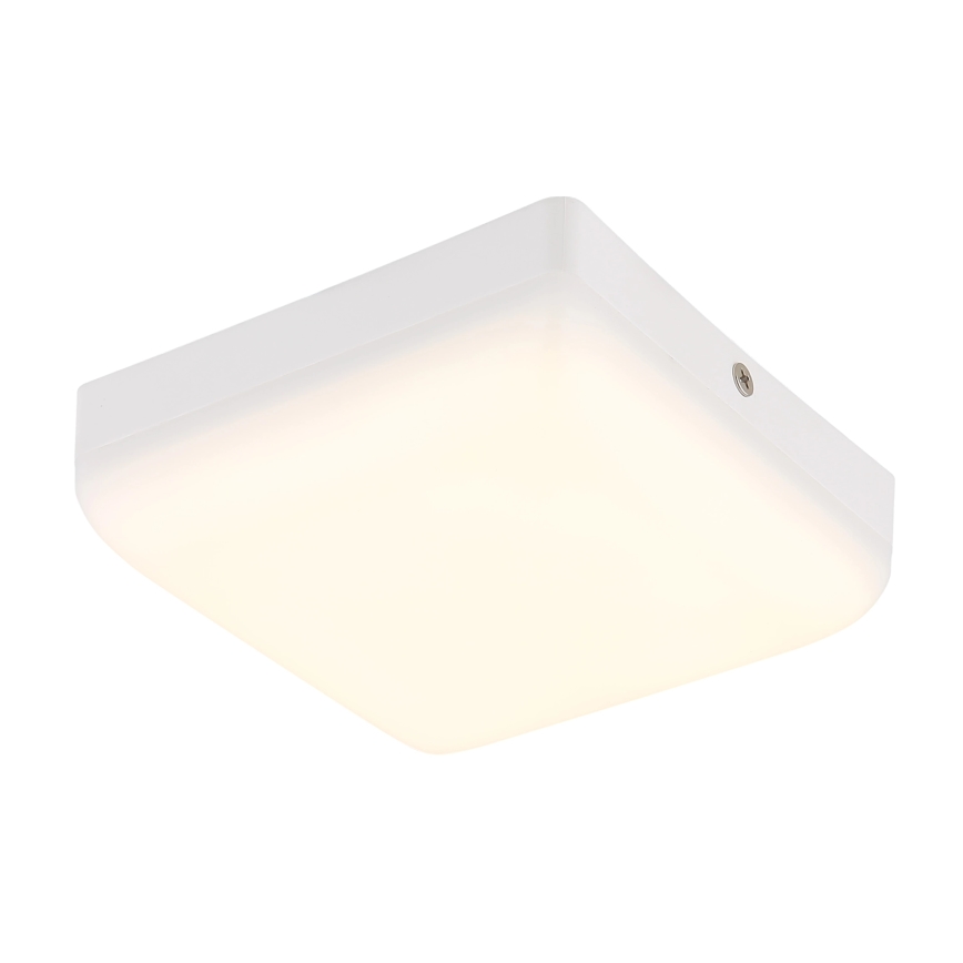 Globo - LED-Deckenleuchte LED/8W/230V 4000K 12x12 cm weiß