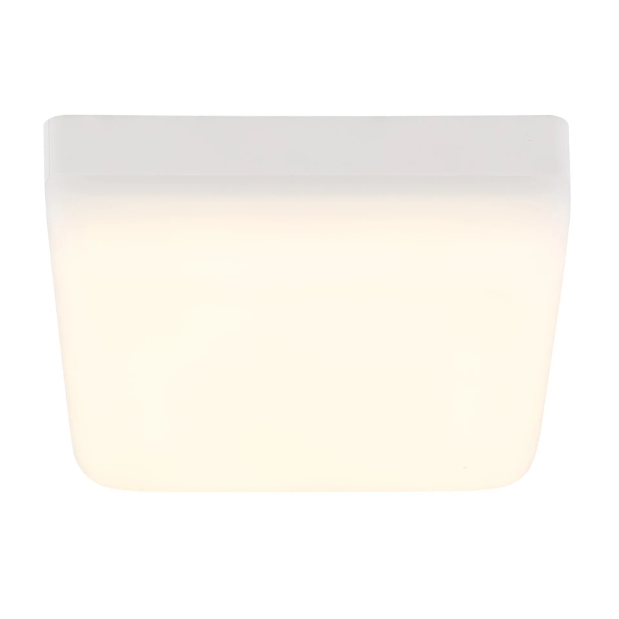Globo - LED-Deckenleuchte LED/8W/230V 4000K 12x12 cm weiß