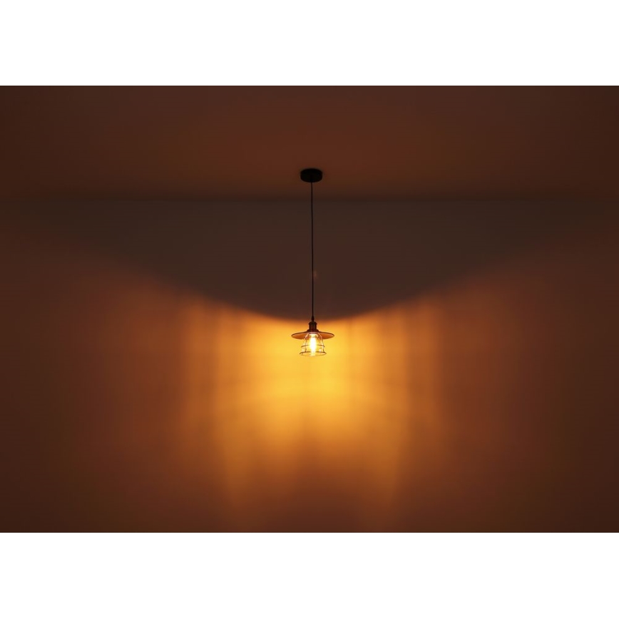 Globo - Hängeleuchte an Seil 1xE27/60W/230V