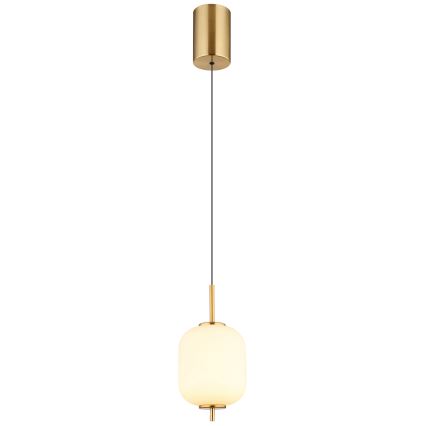 Globo - LED-Hängeleuchte LED/7W/230V