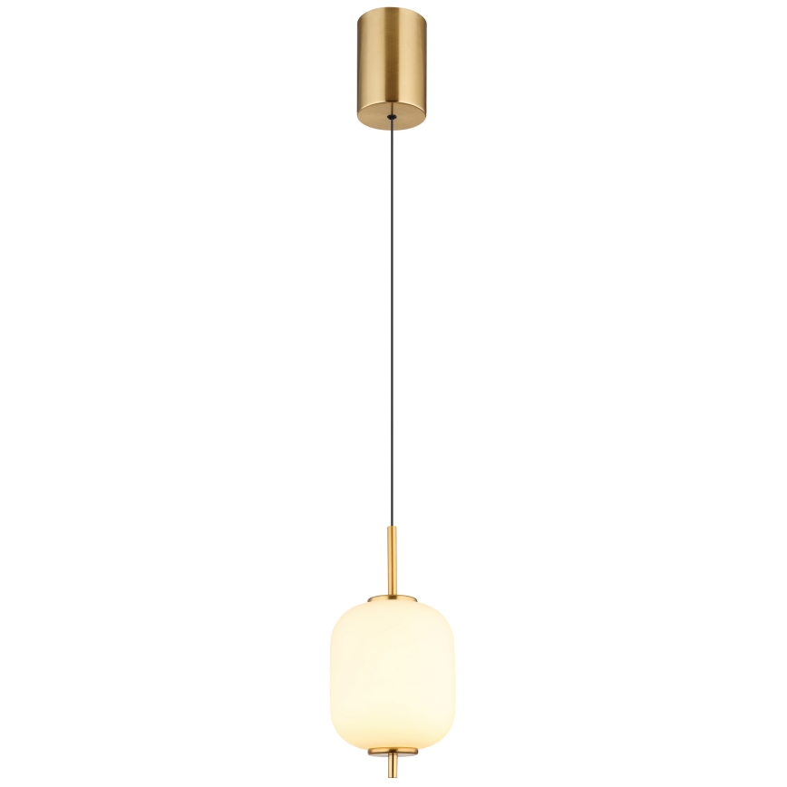 Globo - LED-Hängeleuchte LED/7W/230V
