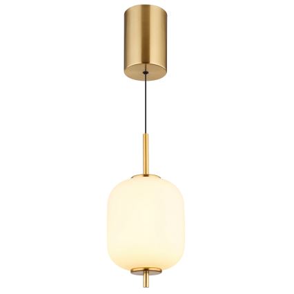 Globo - LED-Hängeleuchte LED/7W/230V