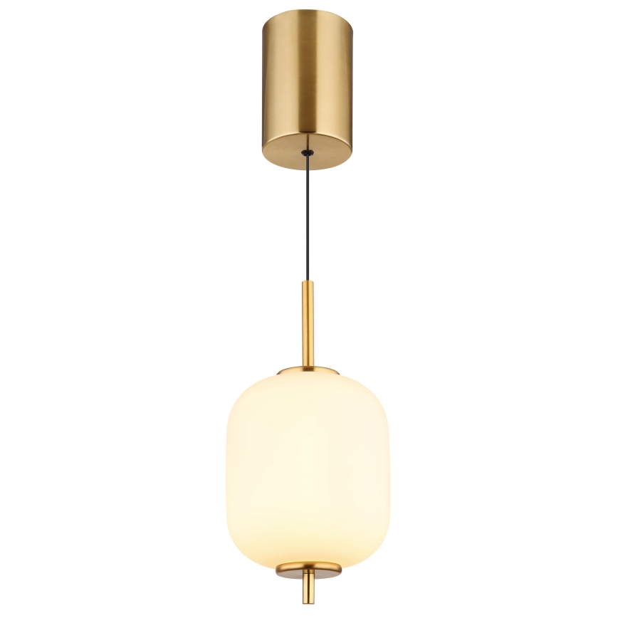 Globo - LED-Hängeleuchte LED/7W/230V