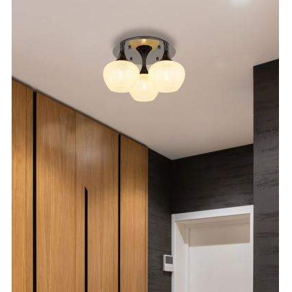 Globo - Anbauleuchte 3xE27/40W/230V anthrazit