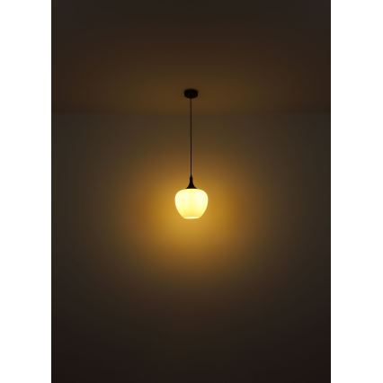 Globo - Hängeleuchte 1xE27/60W/230V d 29 cm weiß/braun