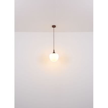 Globo - Hängeleuchte 1xE27/60W/230V d 29 cm weiß/braun