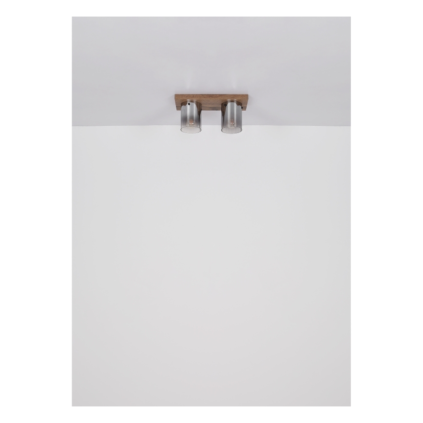 Globo - Deckenleuchte 2xE27/40W/230V