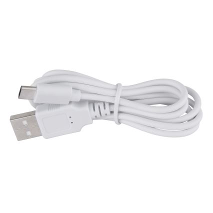 Globo - Dimmbare LED-Tischleuchte mit Touch-Funktion LED/2W/5V 1200 mAh USB klar