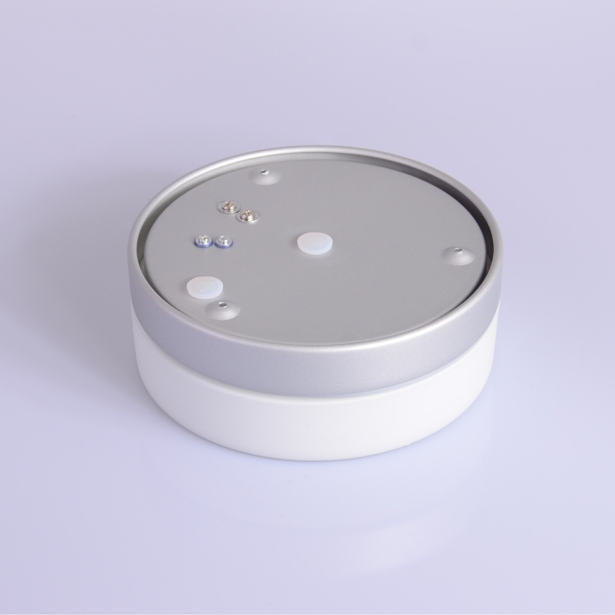 Globo - Badezimmerleuchte 1xE27/60W/230V d 18,4 cm IP44