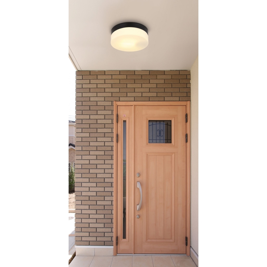 Globo - Badezimmerleuchte 1xE27/60W/230V d 18,4 cm IP44