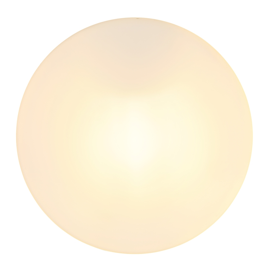 Globo - Badezimmerleuchte 1xE27/60W/230V d 18,4 cm IP44