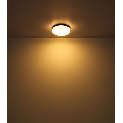 Globo - Badezimmerleuchte 3xE27/60W/230V d 30 cm IP44