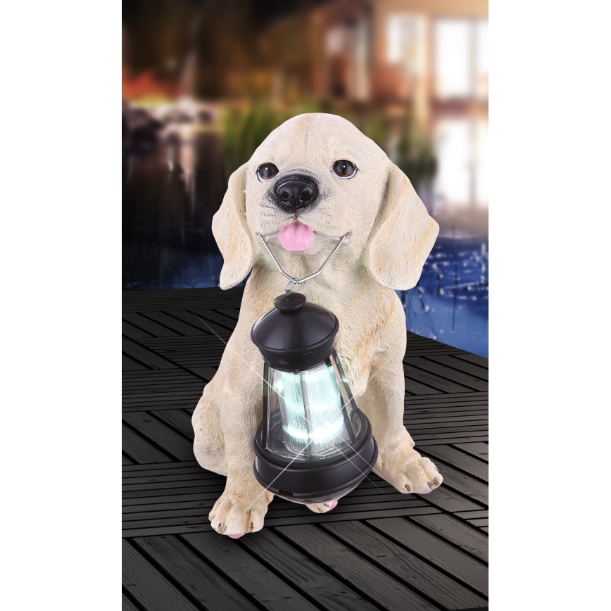 Globo - LED-Solarbeleuchtung LED/0,06W/3V Hund IP44