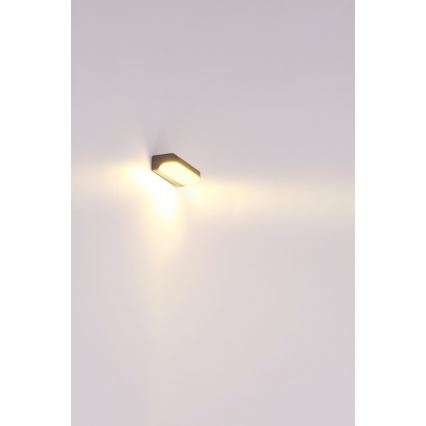 Globo - LED Auβen-Wandbeleuchtung LED/20W/230V IP54