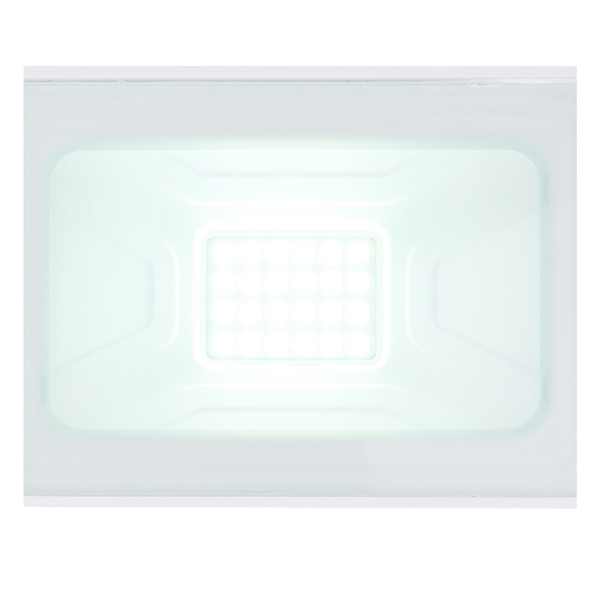 Globo - LED-Reflektor LED/20W/230V IP65