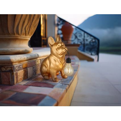 Globo - LED-Solarleuchte LED/3V IP44 300 mAh goldener Hund